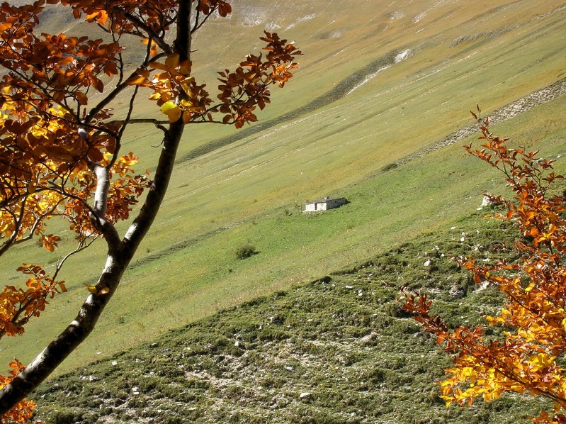 Autunno vivace